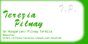 terezia pilnay business card